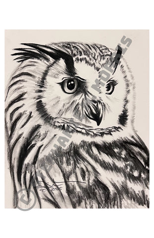 “Owliver” Limited Edition Print